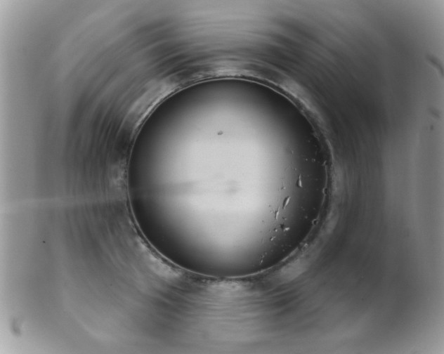 X0000102240801200807251258