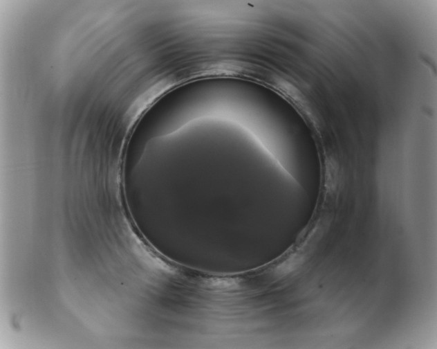 X0000102240802200807251258