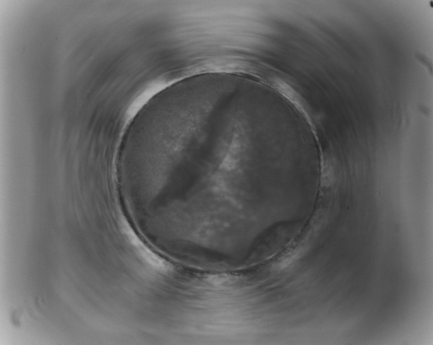 X0000102240803200807251258