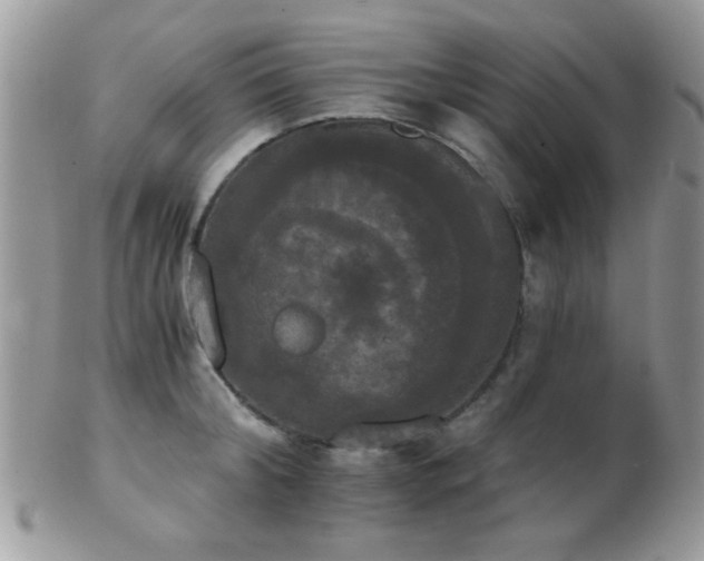 X0000102240804200807251258