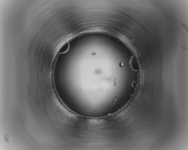 X0000102240805200807251258