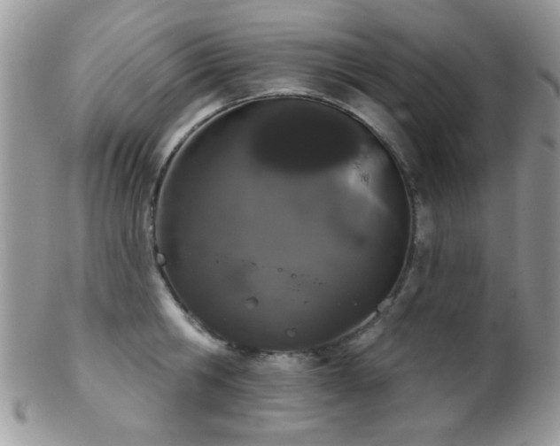 X0000102240806200807251258