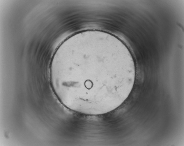 X0000102240807200807251258