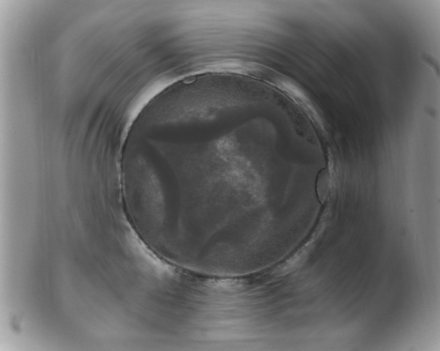 X0000102240808200807251258