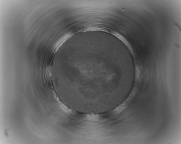 X0000102240809200807251258