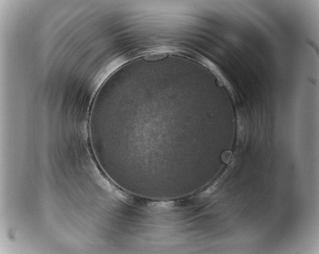 X0000102240810200807251258