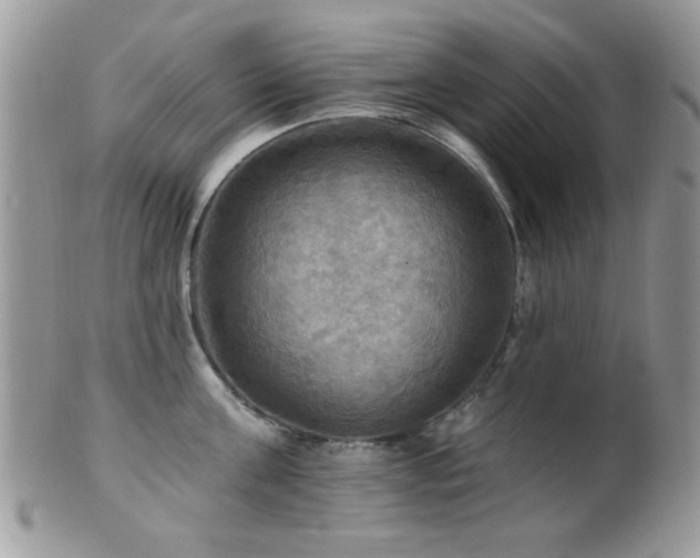 X0000102240811200807251258