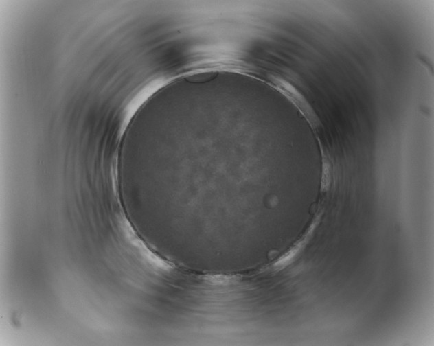 X0000102240812200807251258