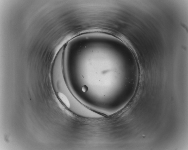 X0000102240813200807251258