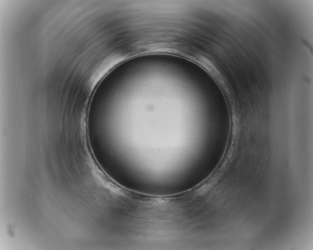 X0000102240814200807251258