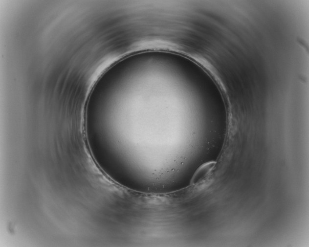 X0000102240815200807251258