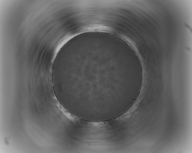 X0000102240816200807251258