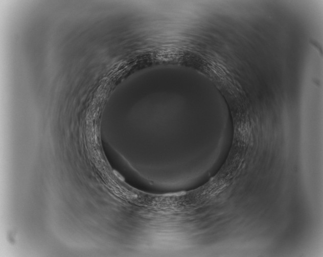 X0000102240817200807251257