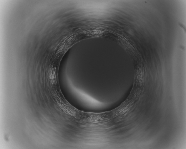 X0000102240818200807251257