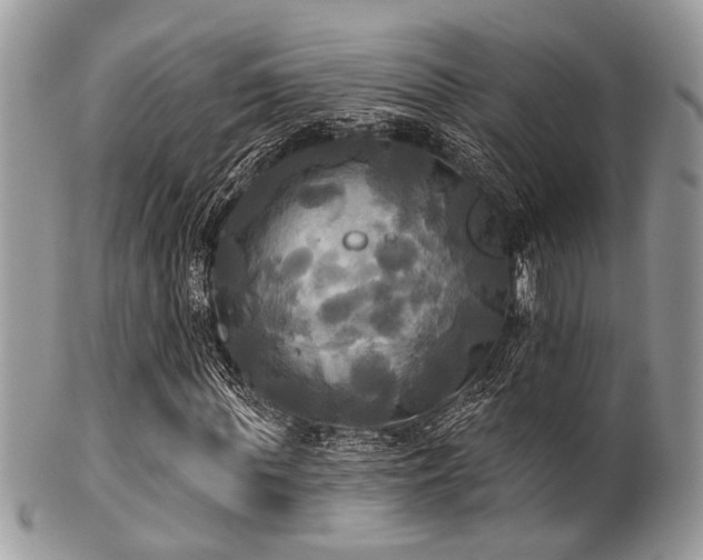 X0000102240819200807251257