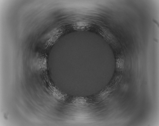 X0000102240820200807251257