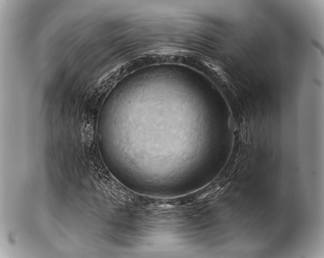 X0000102240821200807251257