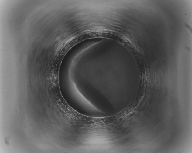 X0000102240822200807251257