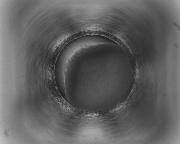 X0000102240823200807251257