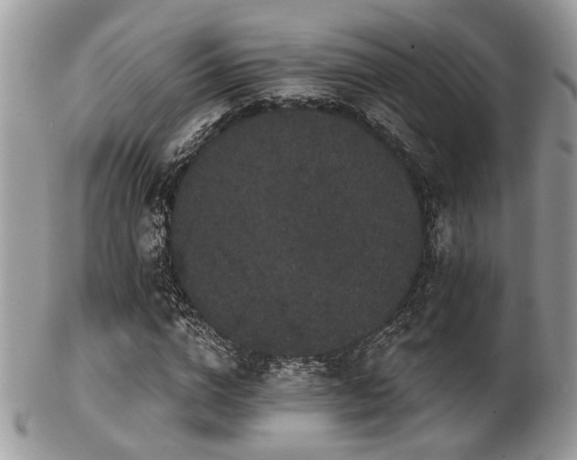 X0000102240824200807251257