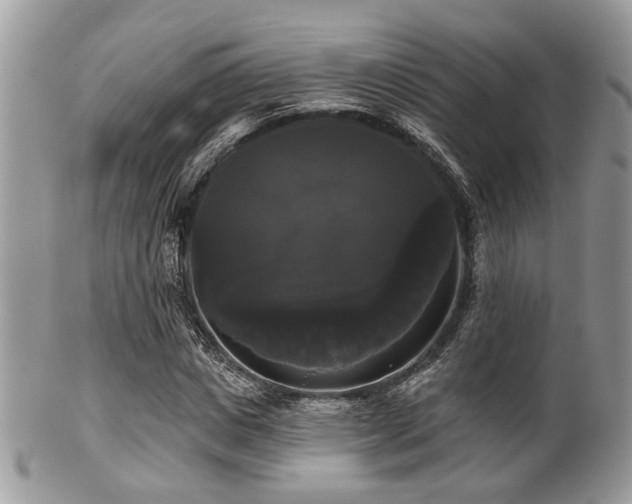 X0000102240825200807251257