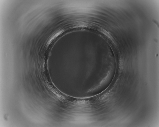 X0000102240826200807251257