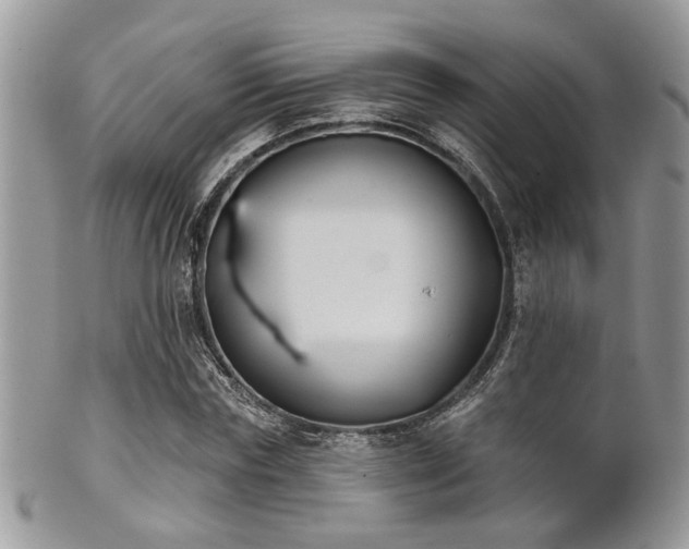 X0000102240827200807251257