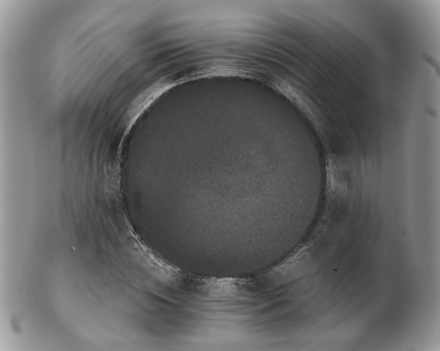 X0000102240828200807251257