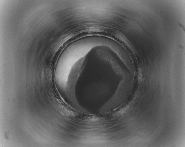 X0000102240829200807251257