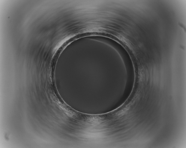 X0000102240830200807251257