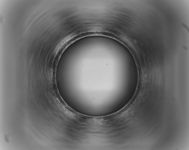 X0000102240831200807251257