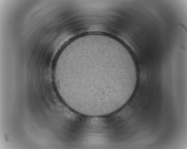 X0000102240832200807251257