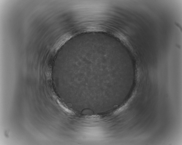 X0000102240833200807251257