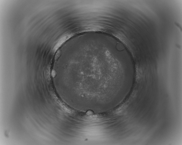 X0000102240834200807251258