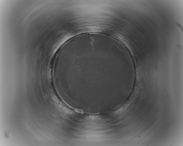 X0000102240835200807251258