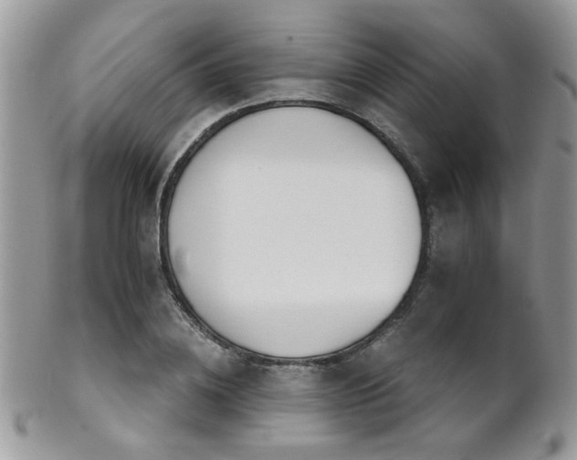 X0000102240836200807251258