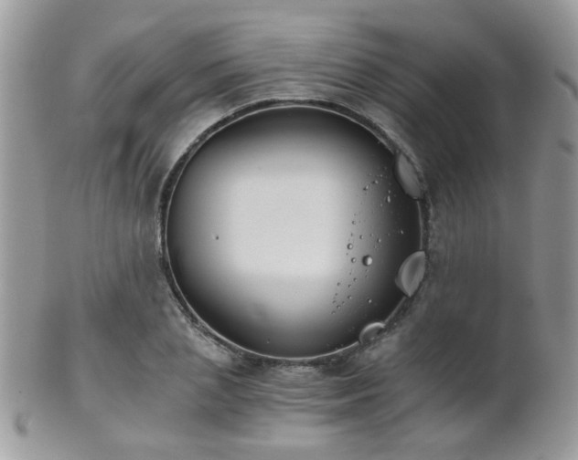 X0000102240837200807251258