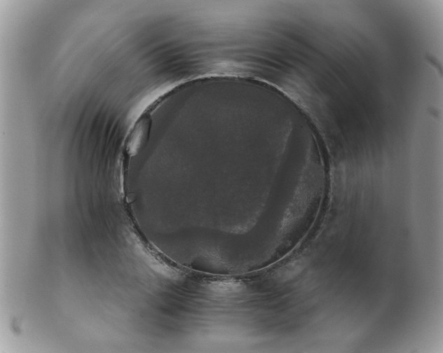 X0000102240838200807251258