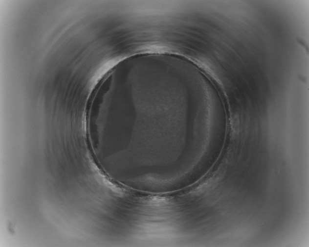 X0000102240839200807251258