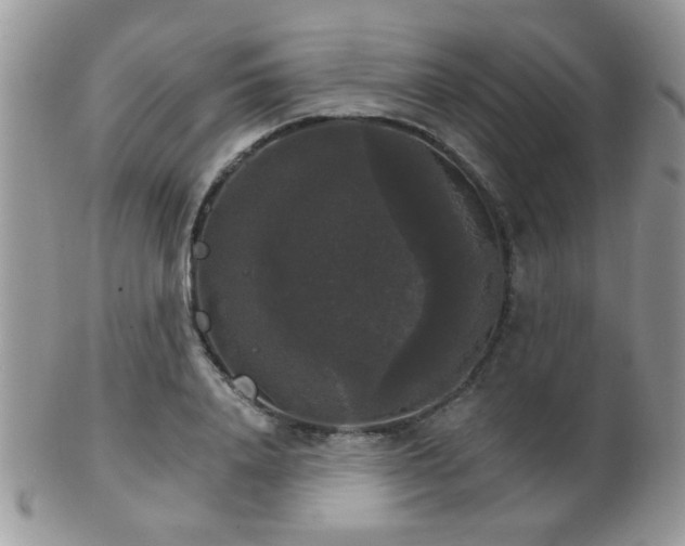 X0000102240840200807251258