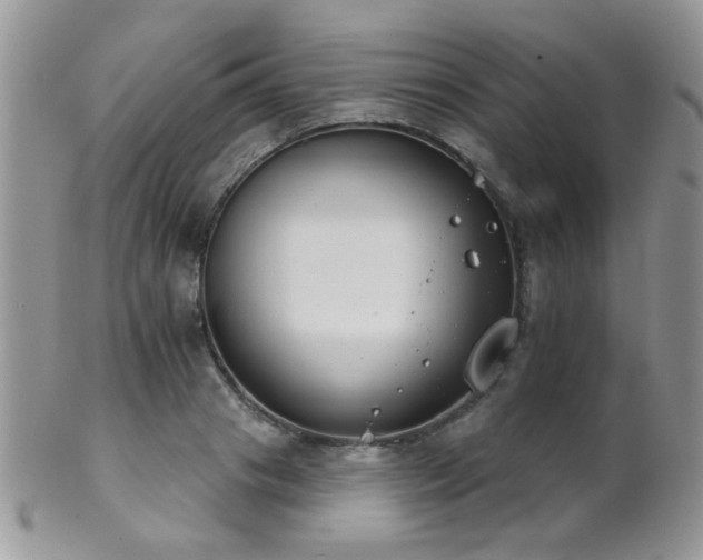 X0000102240841200807251258