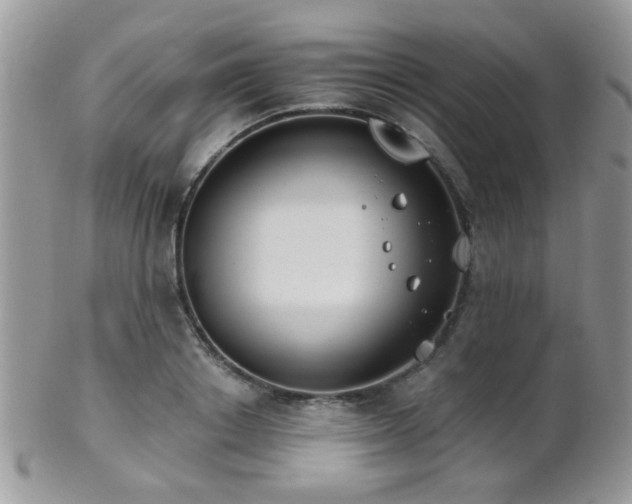 X0000102240842200807251258