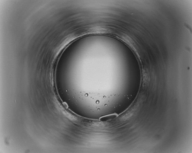 X0000102240843200807251258