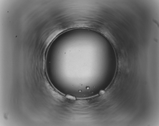 X0000102240844200807251258