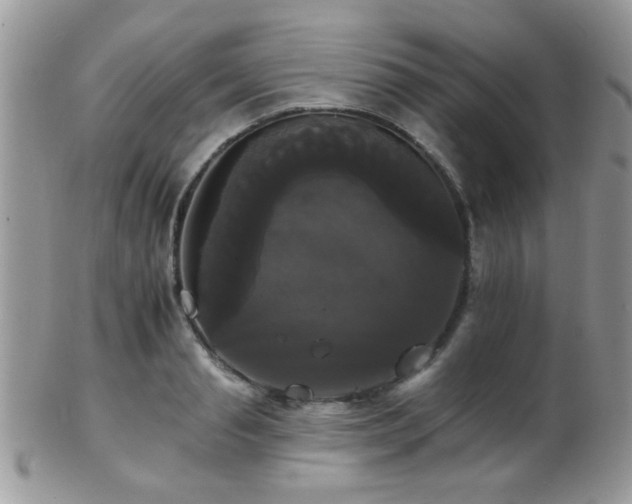 X0000102240845200807251258