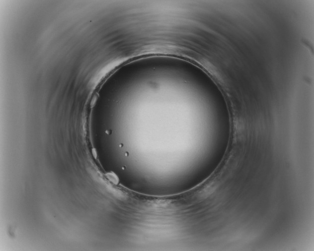 X0000102240846200807251258