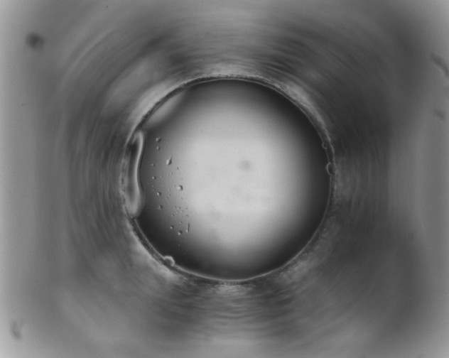 X0000102240847200807251258