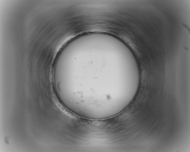 X0000102240848200807251258