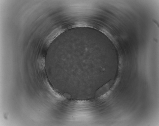 X0000102240849200807251258