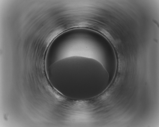 X0000102240850200807251258